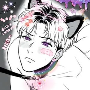 Meet your Posher, Bo